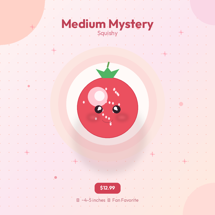 Medium Mystery Squishy