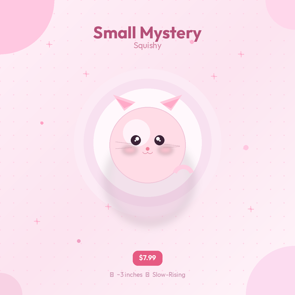 Small Mystery Squishy