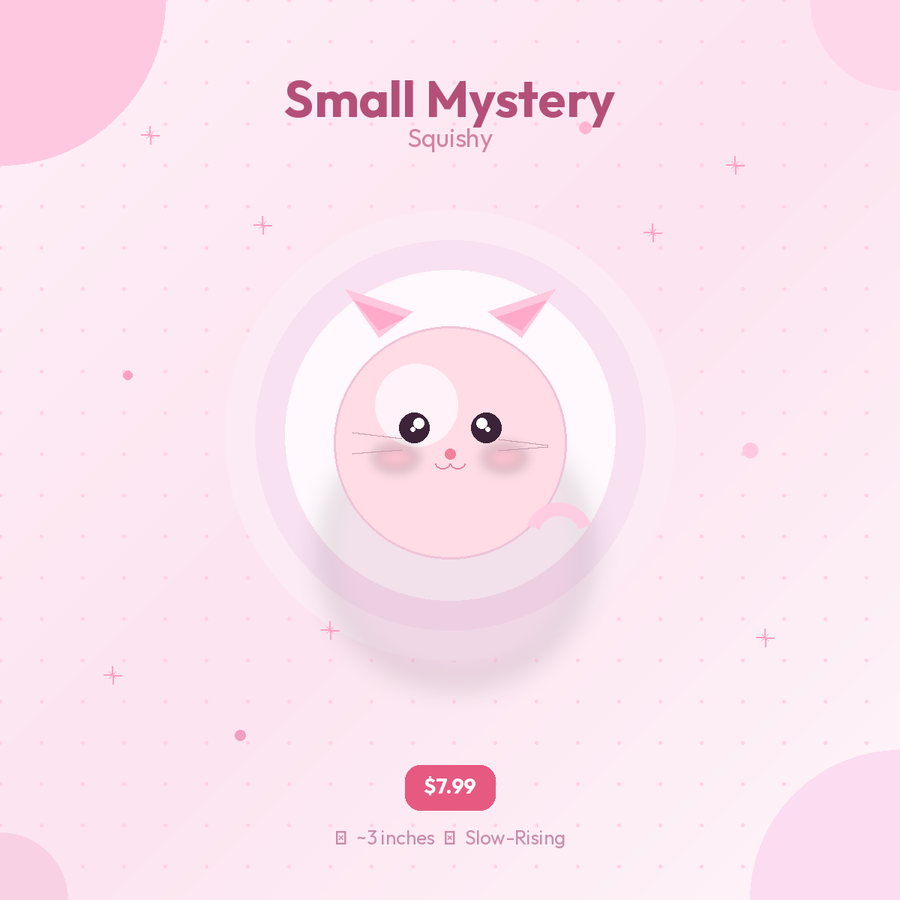 Small Mystery Squishy